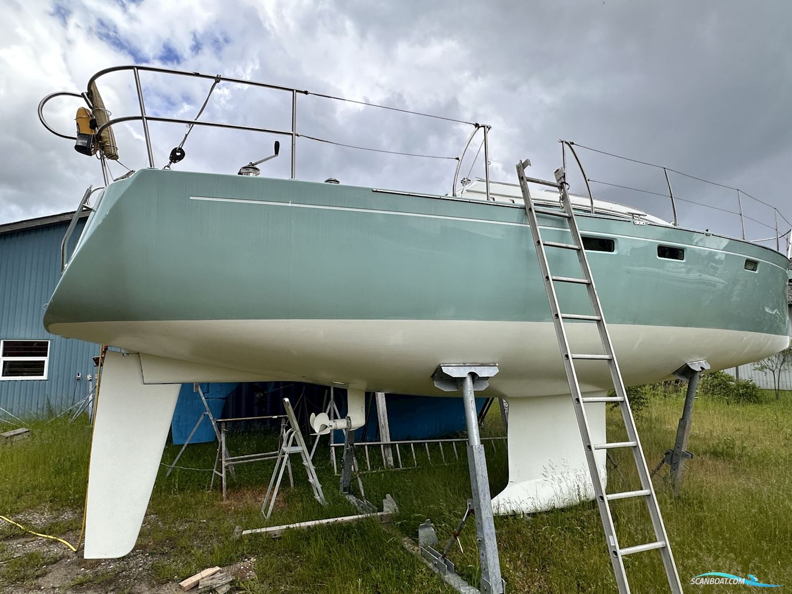 Celeste 36