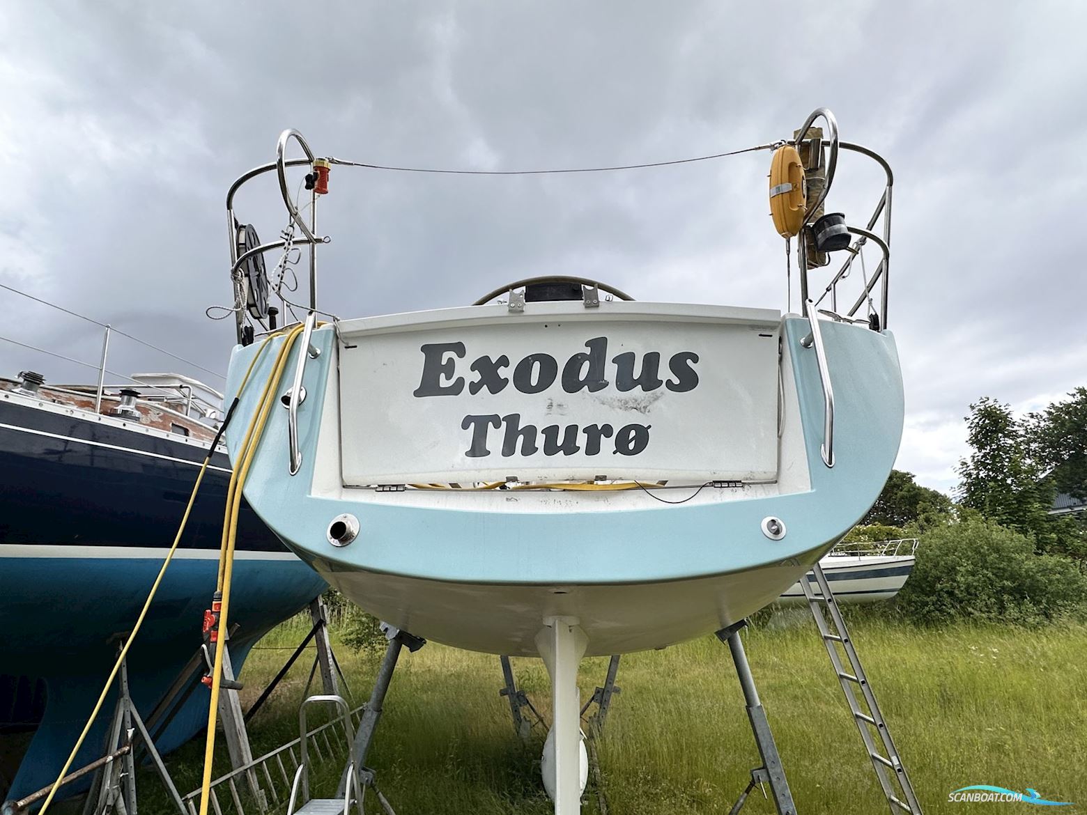 Celeste 36