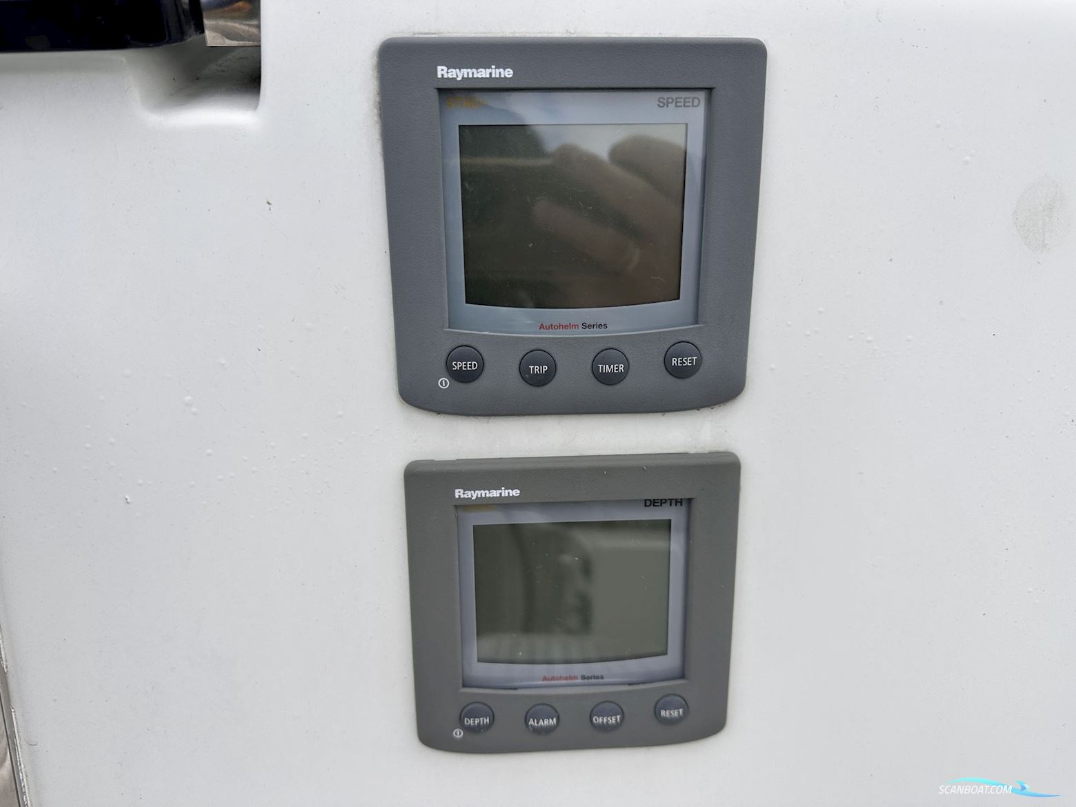 Celeste 36