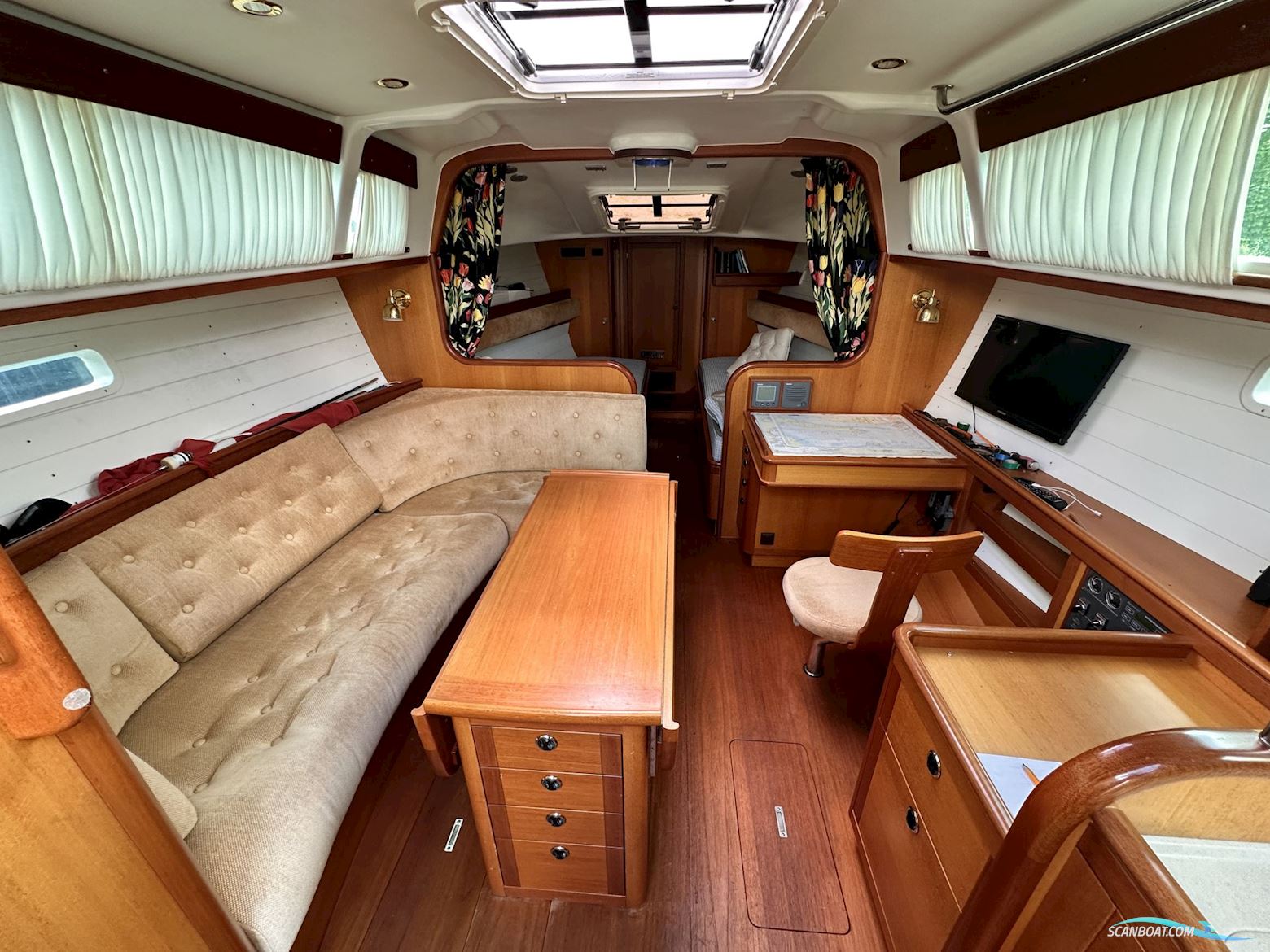 Celeste 36