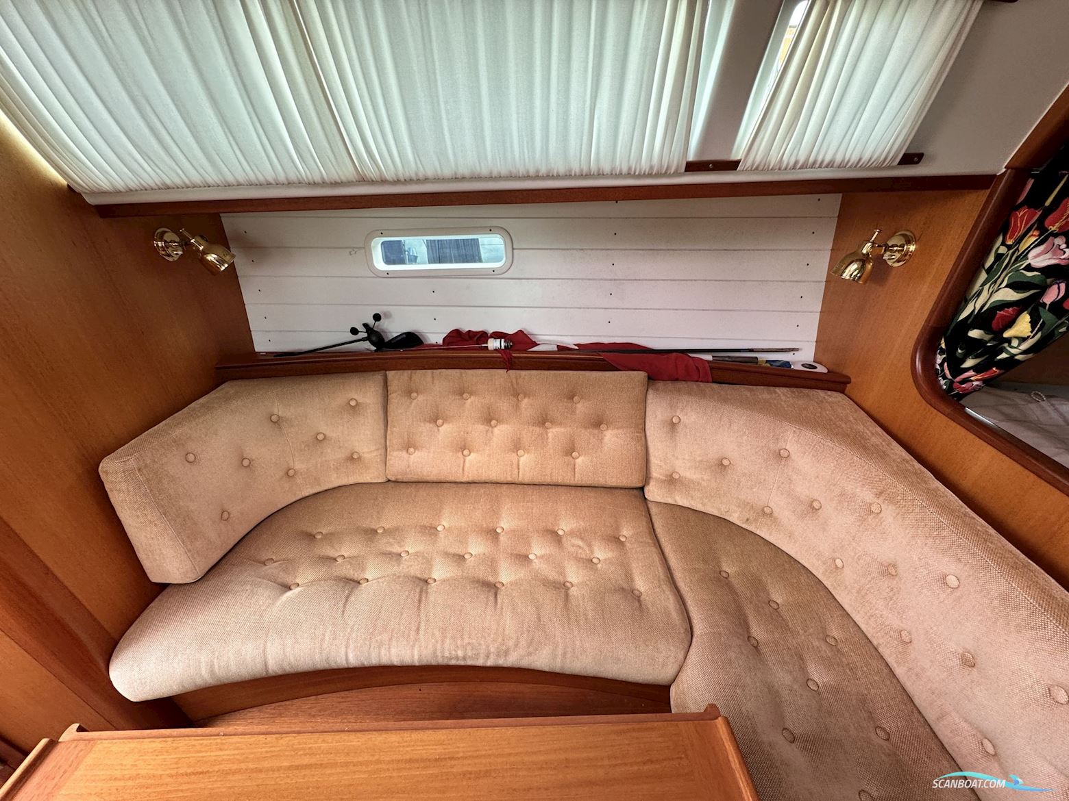 Celeste 36