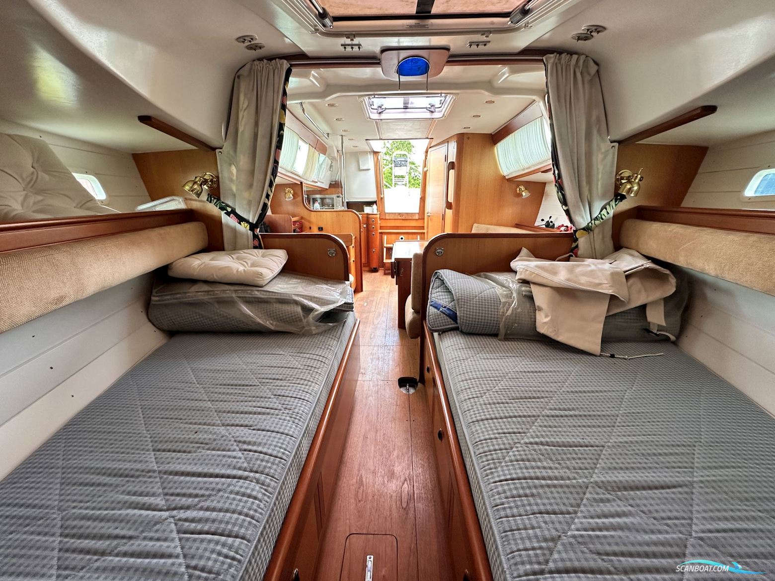 Celeste 36