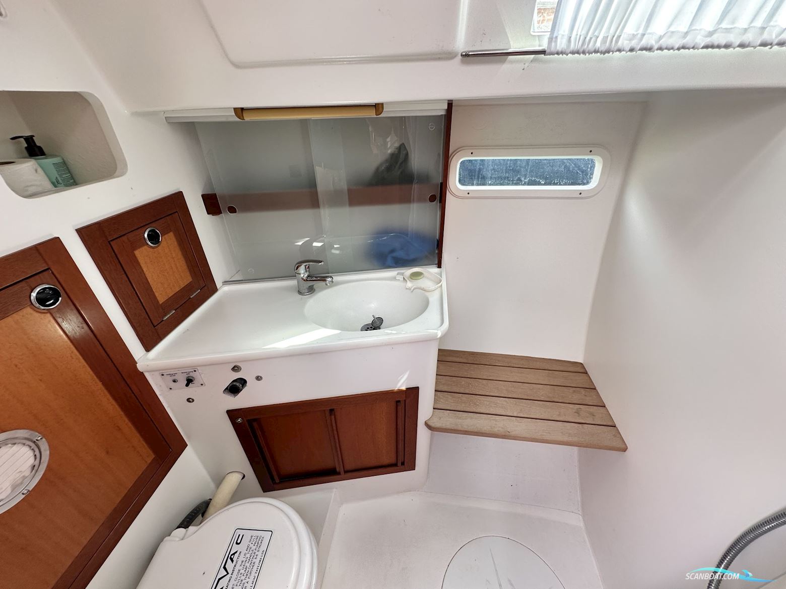 Celeste 36