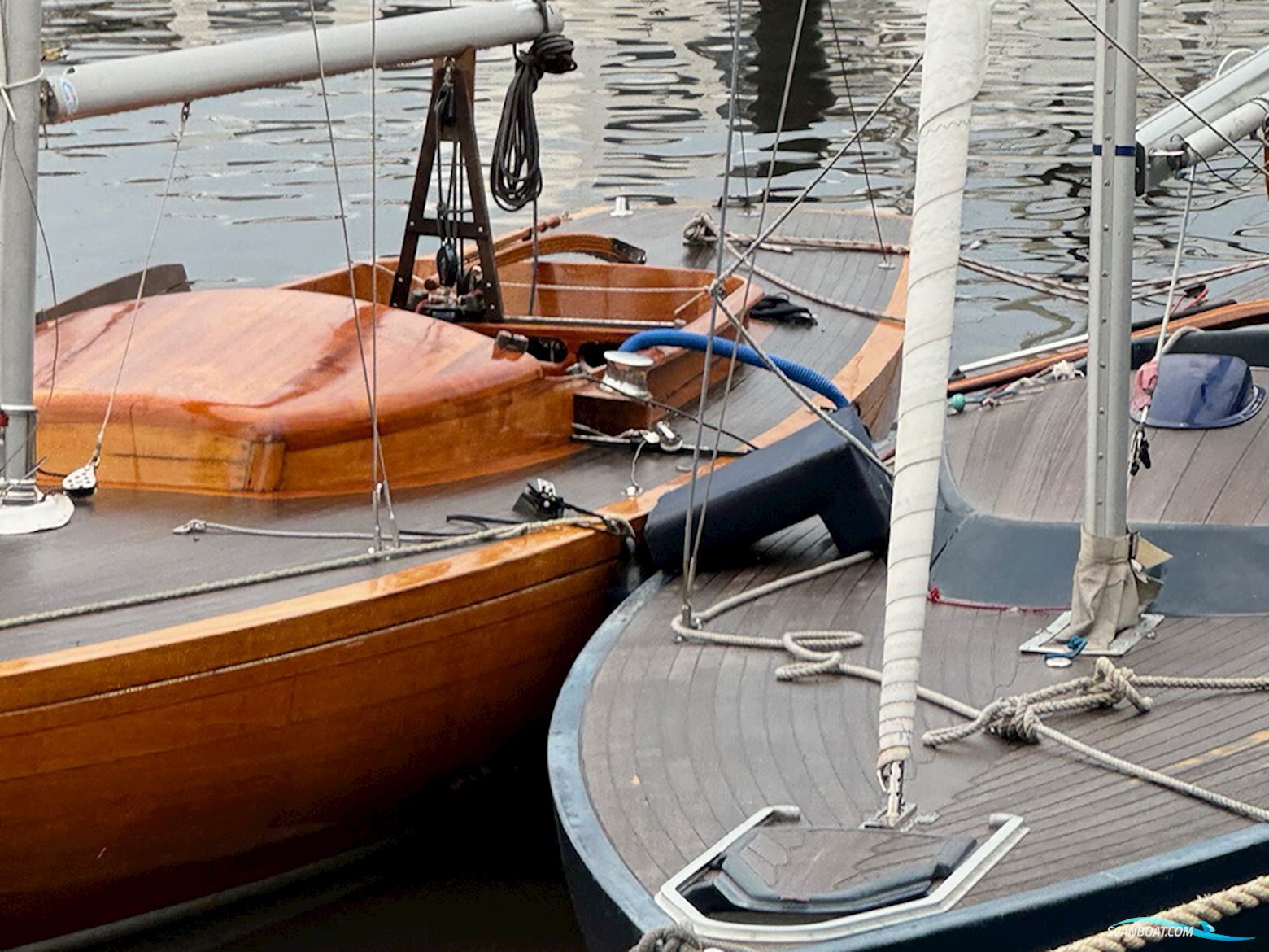 Classic International Dragon