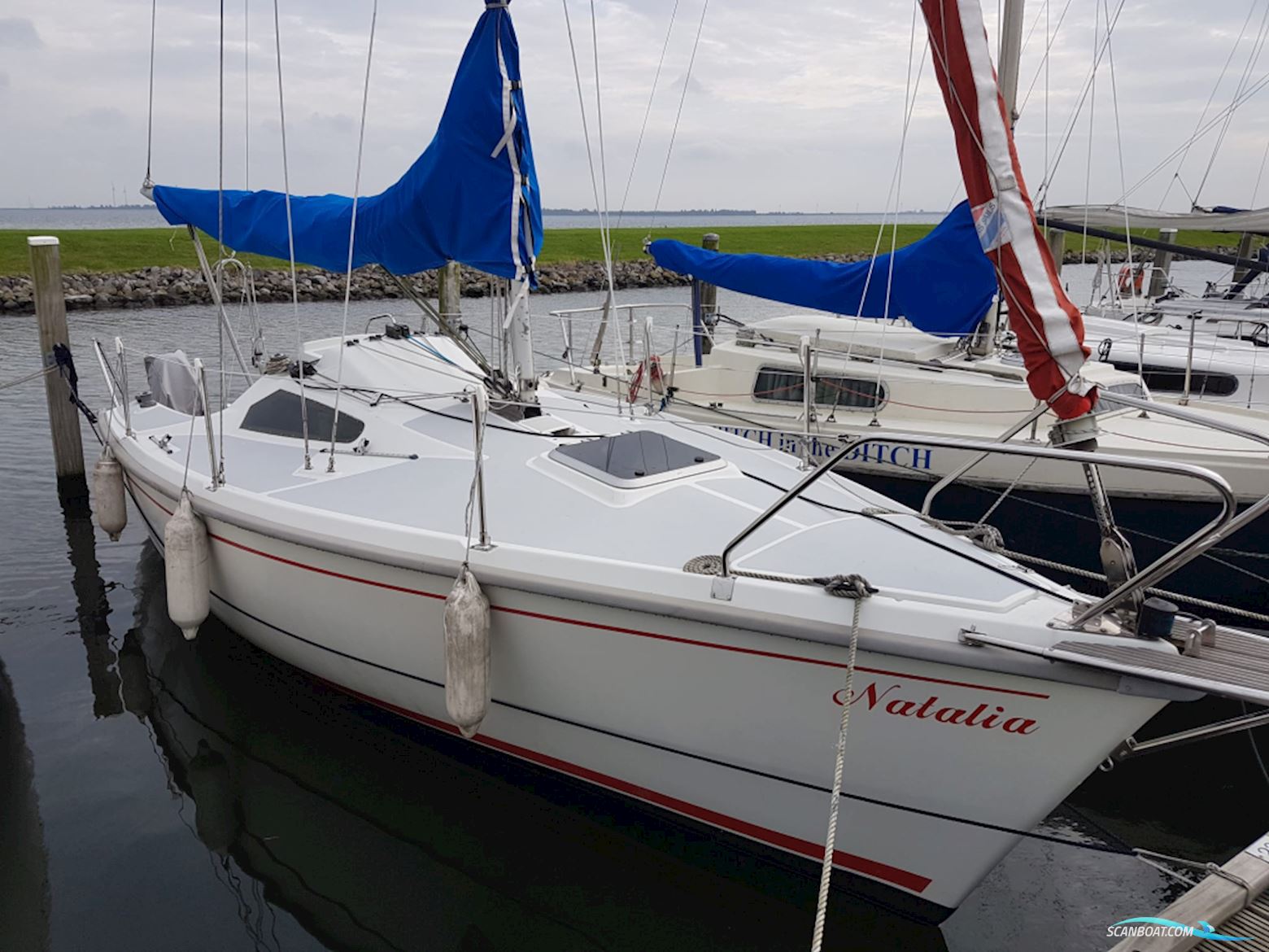 Clever 23 Sejlbåd 1998, med Suzuki motor, Holland