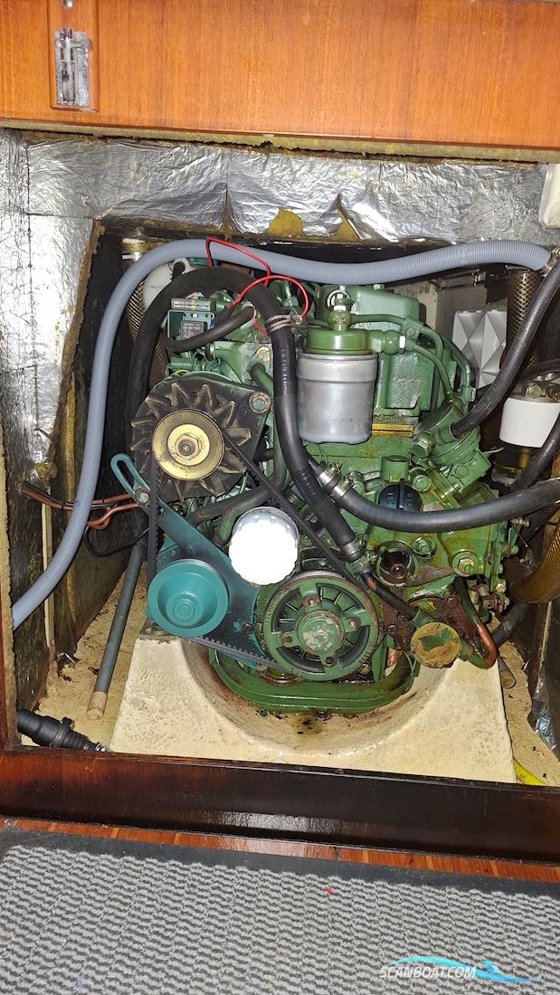 Colina L29