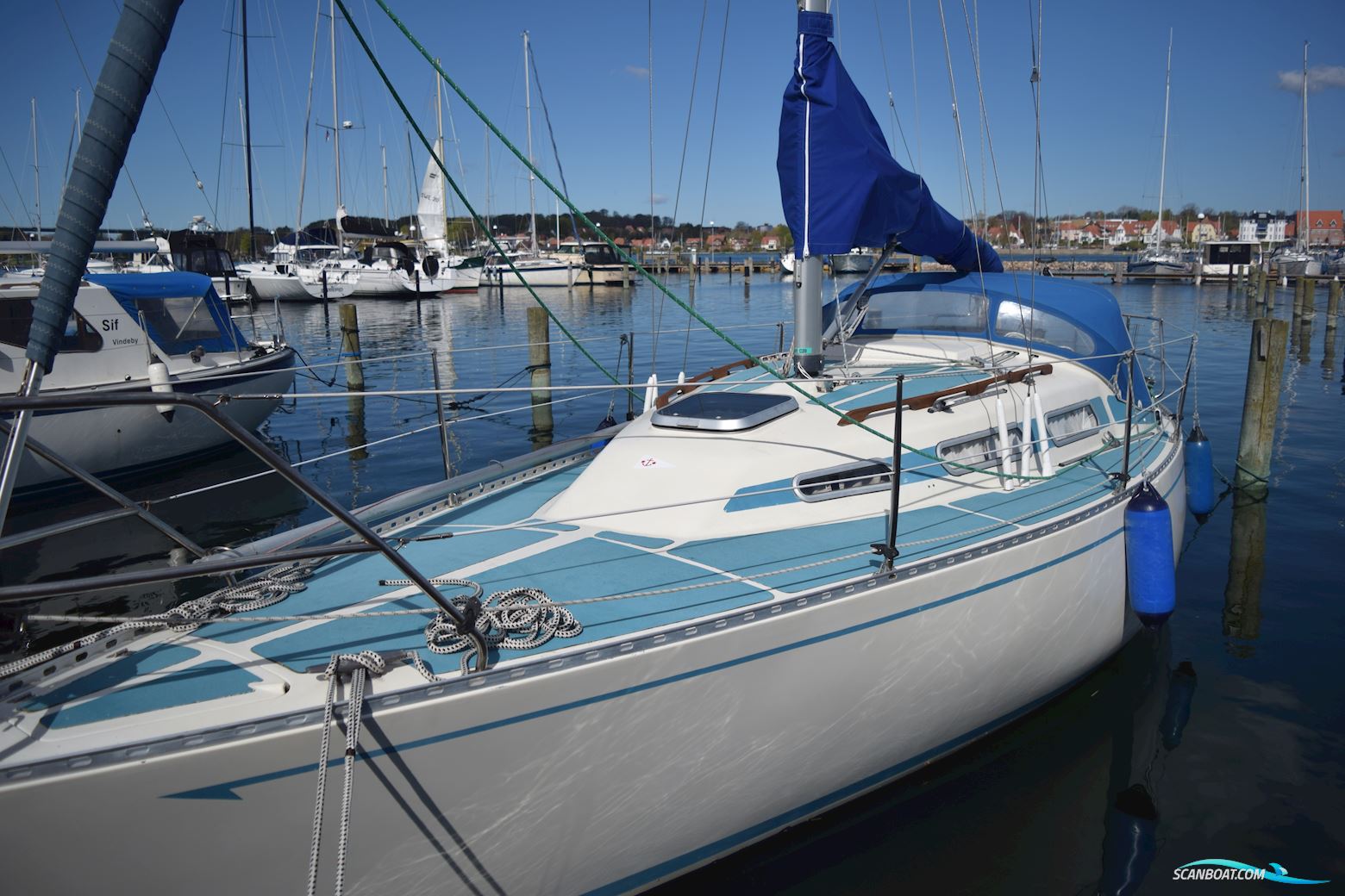 Colina L29