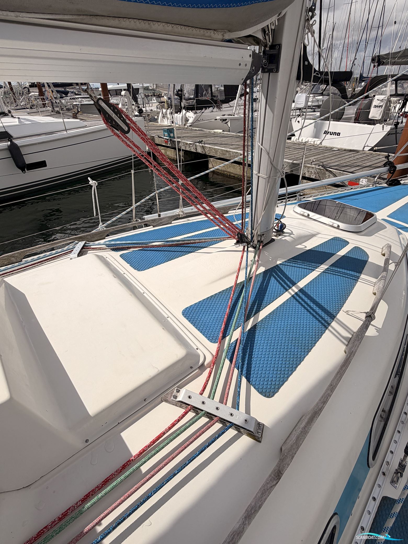 Colina L29