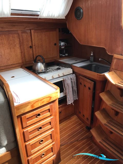 Colina353