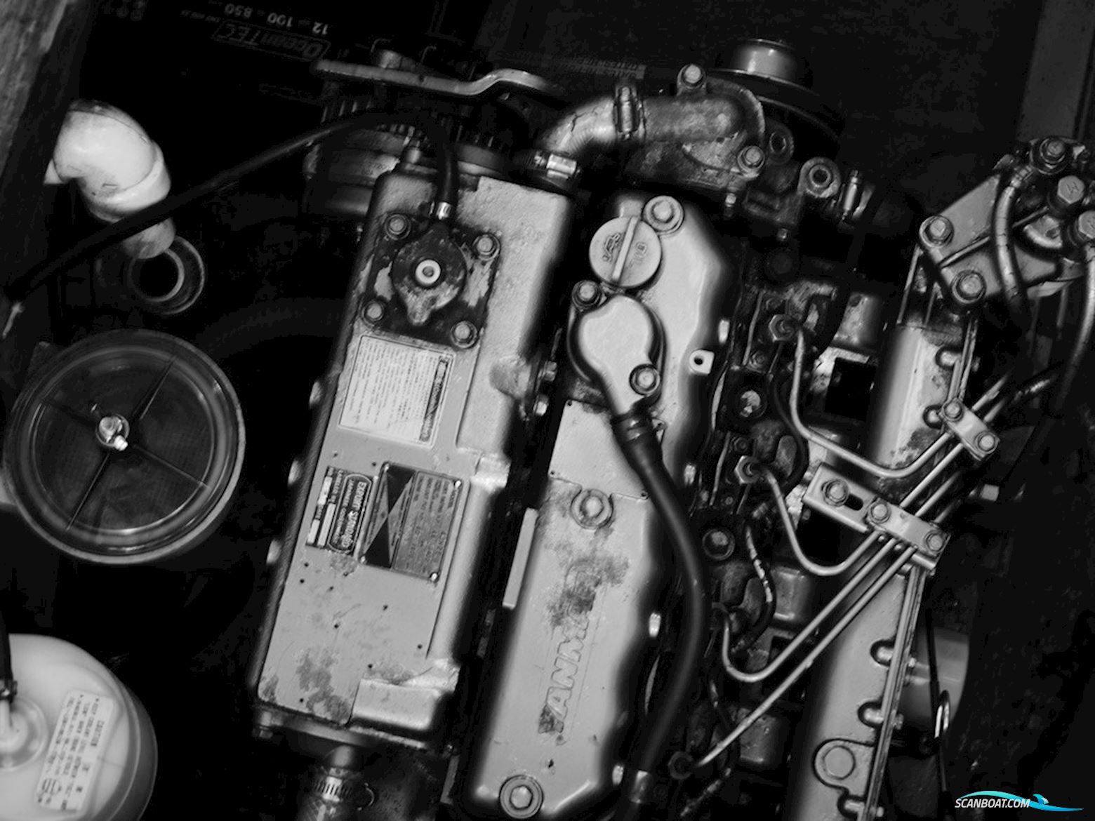 Colvic 29  Coaster  Custom