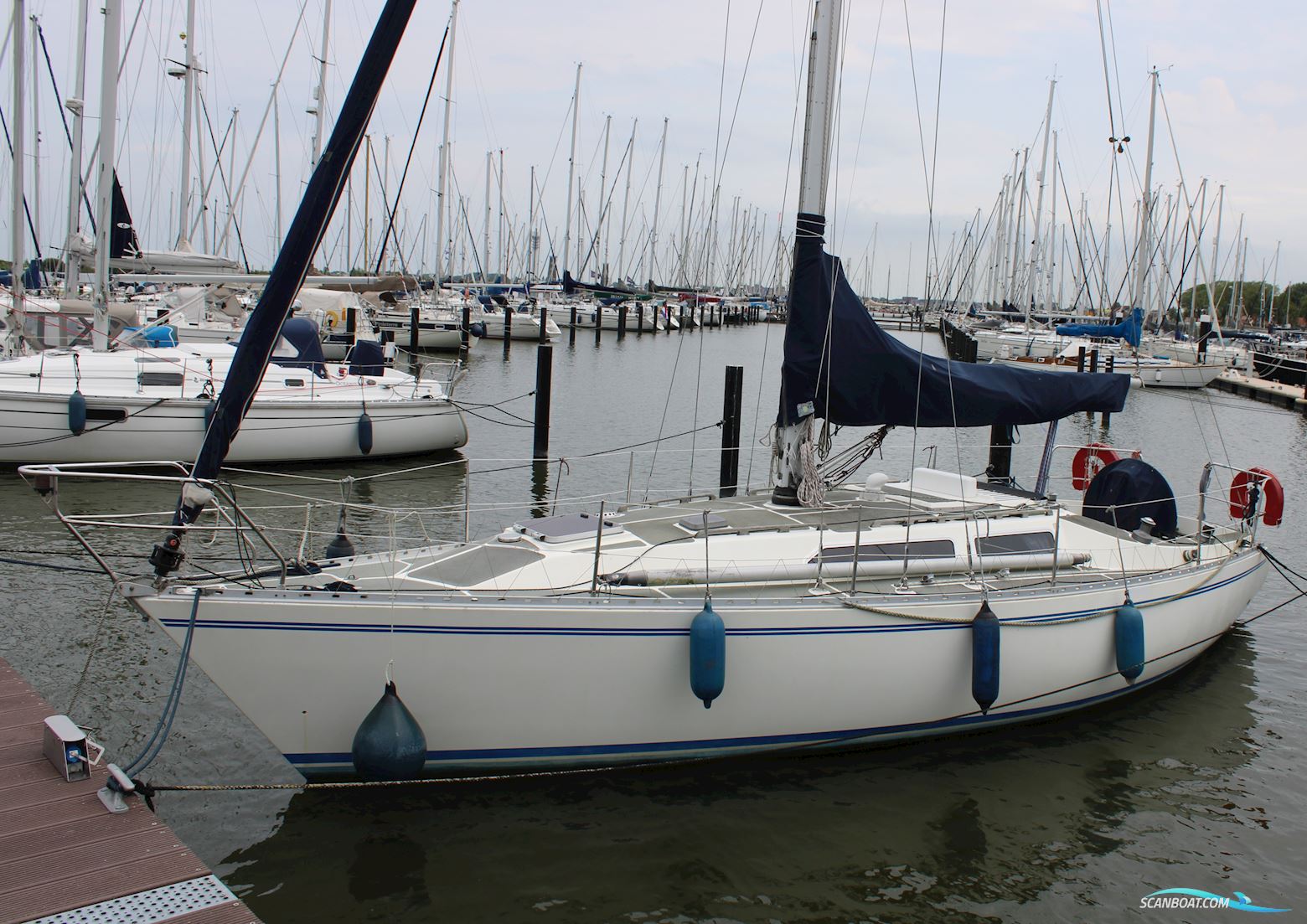 Colvic Liberator 35