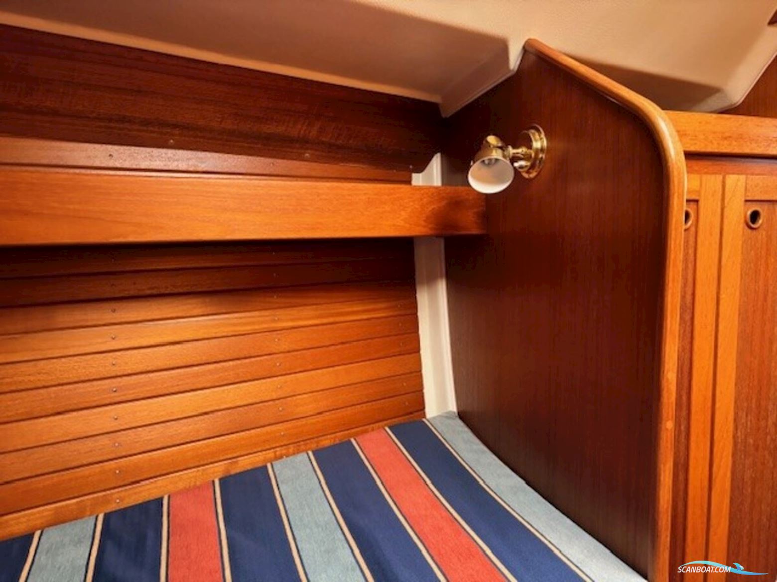 Comfortina  38