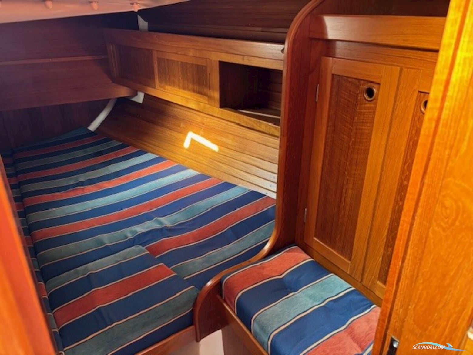 Comfortina  38