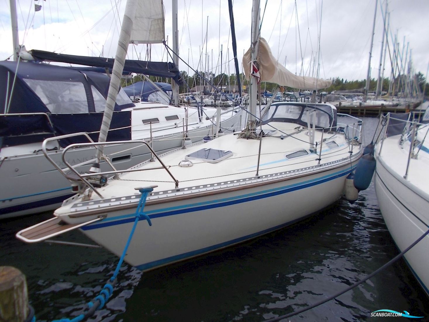 Comfortina 32 Sejlbåd 1986, med Volvo Penta 2002 motor, Danmark