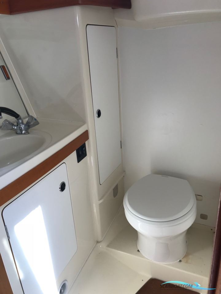 Comfortina 35