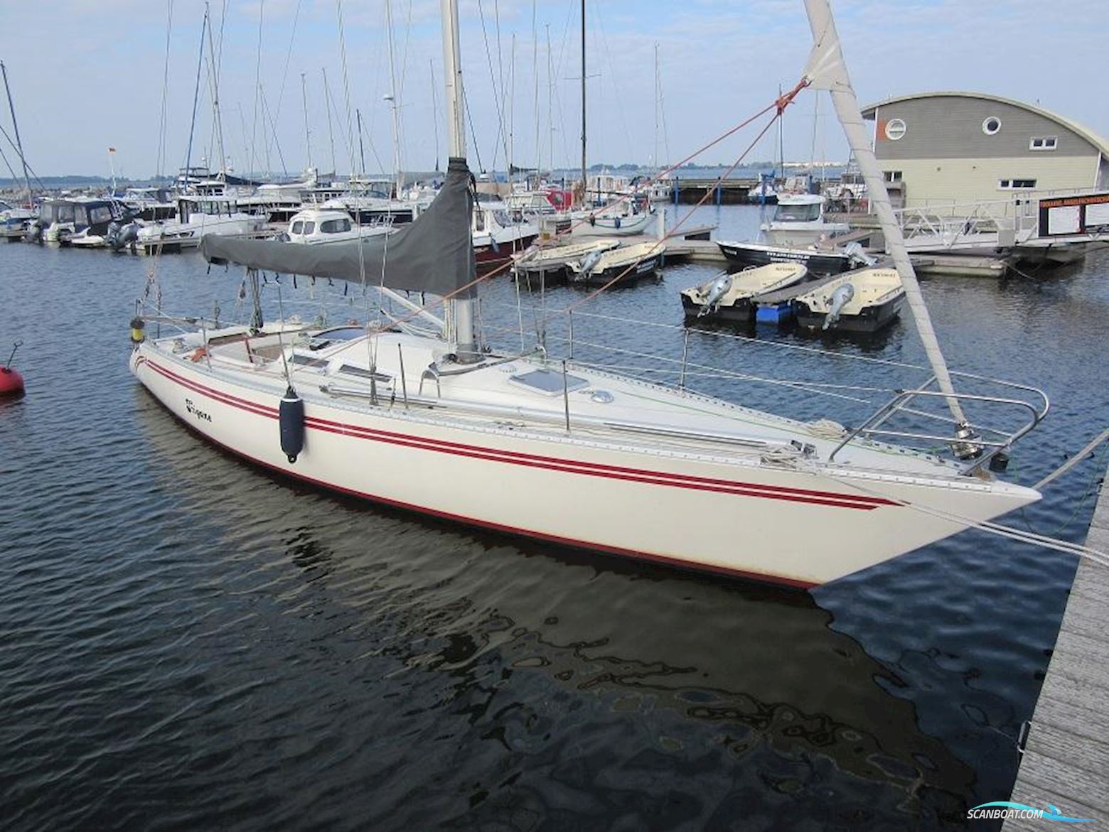 Comfortina Cayenne 42