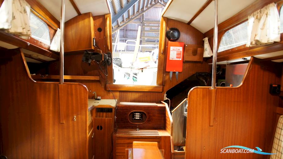 Commander 31