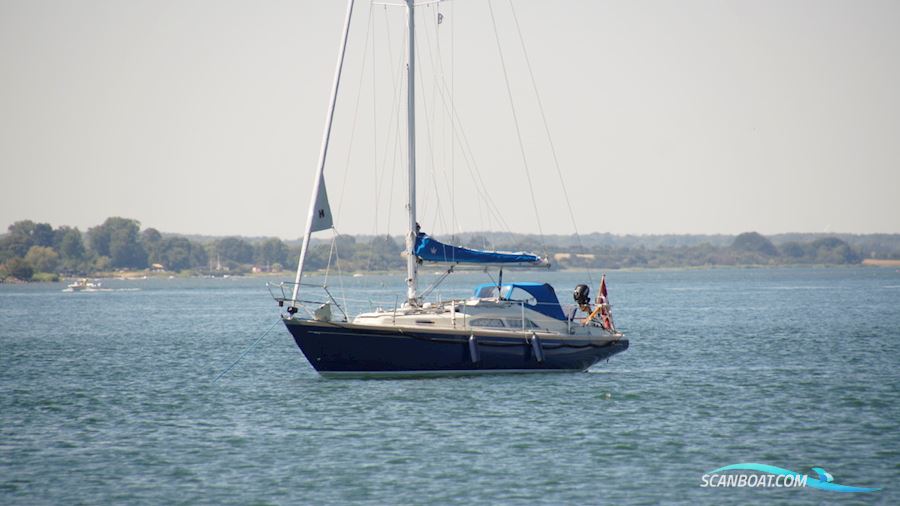 Commander 31