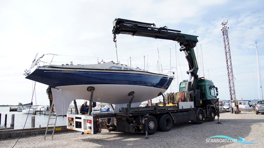 Commander 31