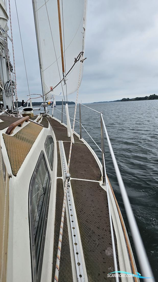 Commander 31 Sejlbåd 1974, med Mormor motor, Tyskland