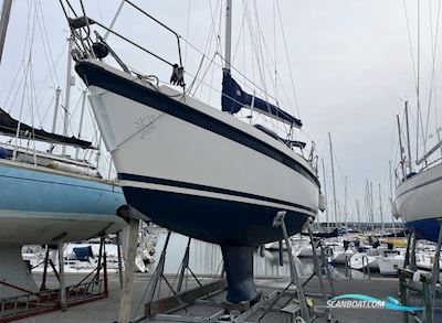 Compromis 888 Sejlbåd 1993, med Yanmar motor, England