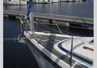 Compromis C 34 Sejlbåd 2000, med Yanmar 39M30 FC motor, Holland