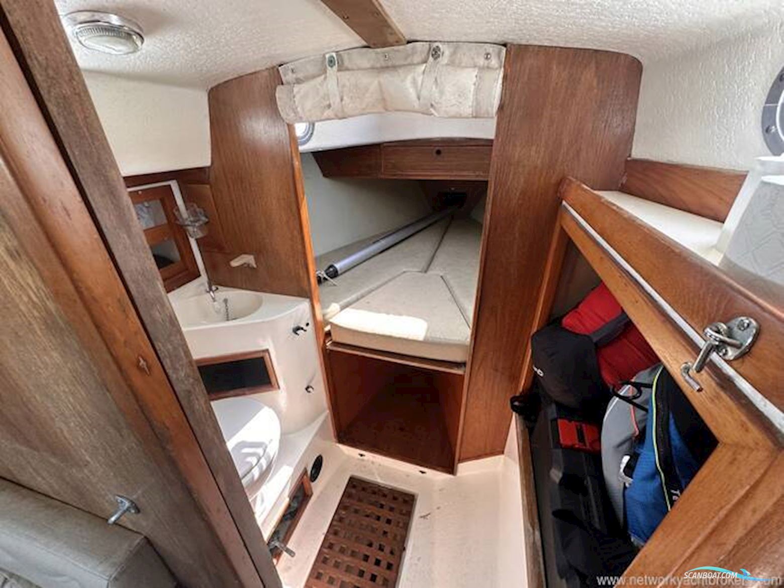 Contessa 32
