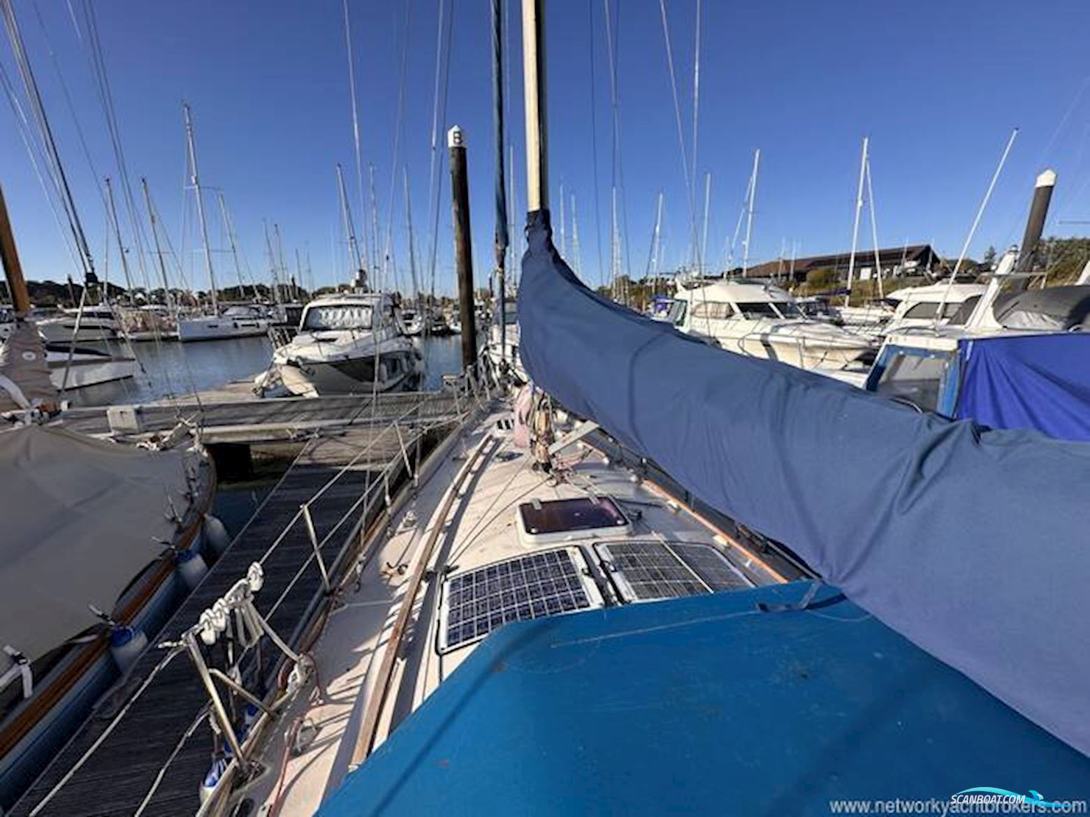 Contessa 32