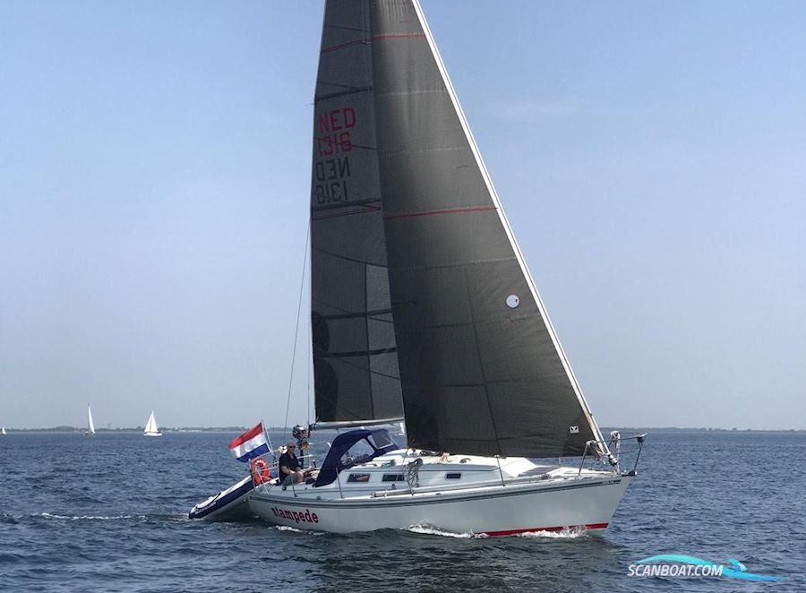 Contessa 34 OOD