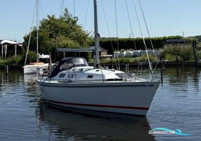 Contessa 34 OOD Sejlbåd 1979, med Sole motor, Holland