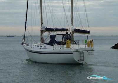 Contest 32 CS Ketch Sejlbåd 1979, med Vetus M4.35 motor, Holland