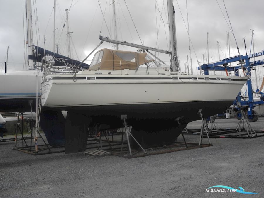 Contest 41 Sejlbåd 1987, med Beta Marine 60 motor, Belgien