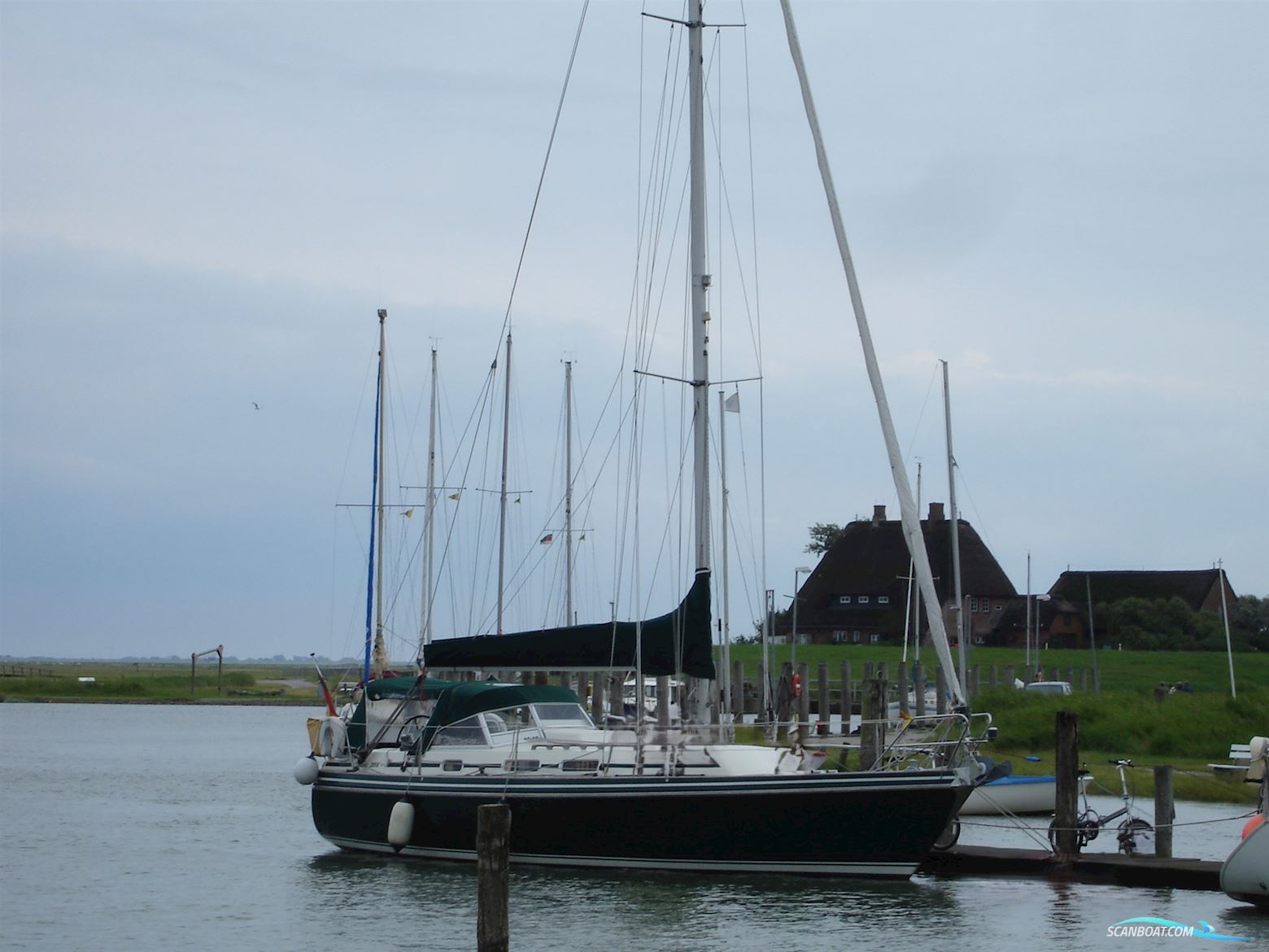 Conyplex Contest 35S