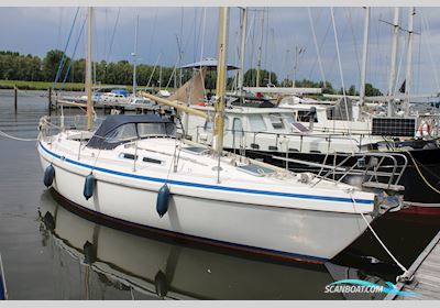Conyplex Contest 36 Sejlbåd , med Volvo Penta MD17 motor, Holland