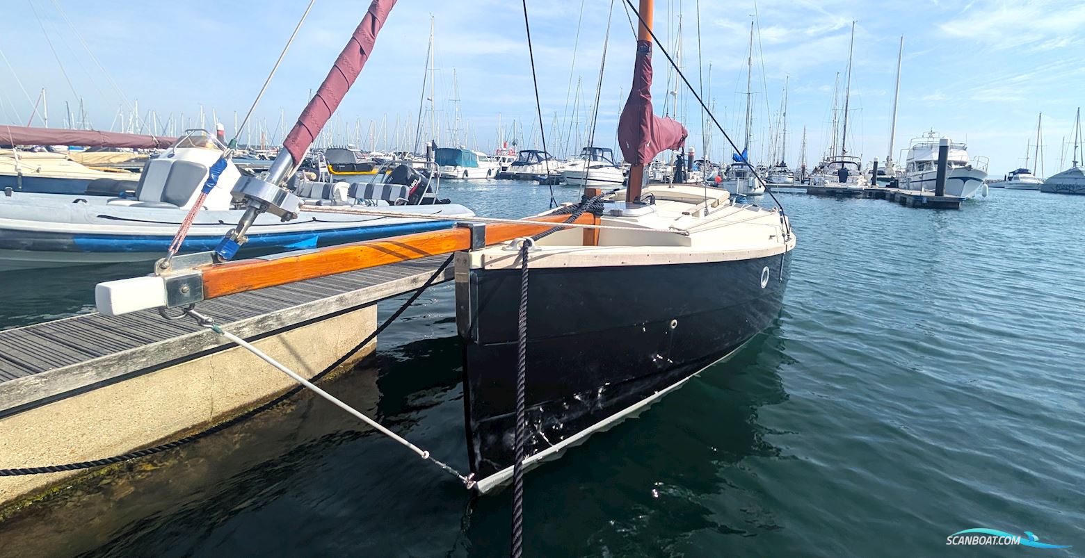 Cornish Crabber Shrimper 19