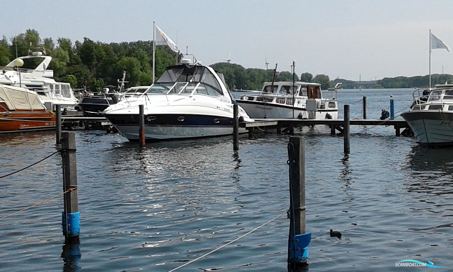 Cruisers Yachts 300 Cxi Express