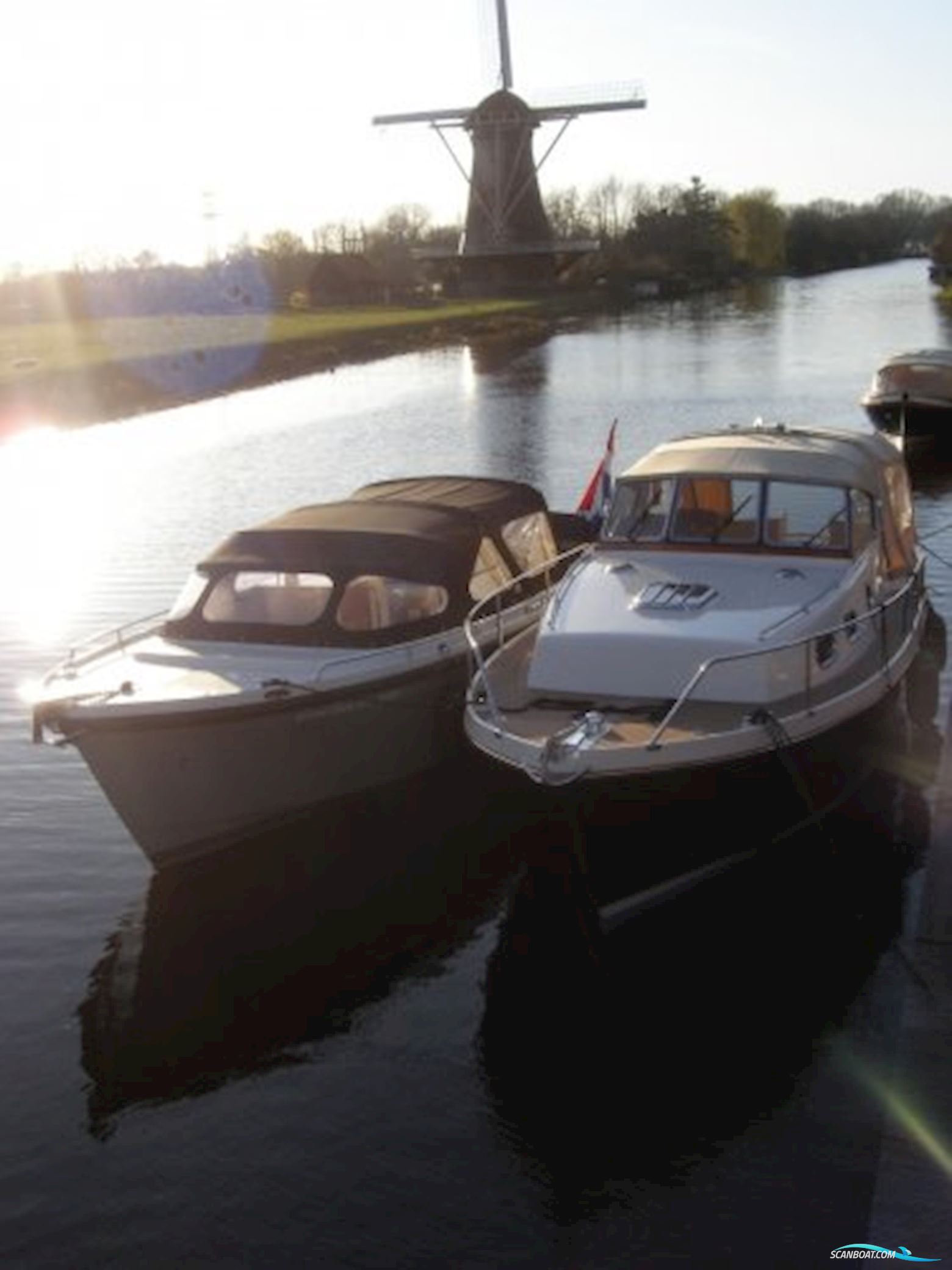 Damarin 842 Cruiser (Nieuw)