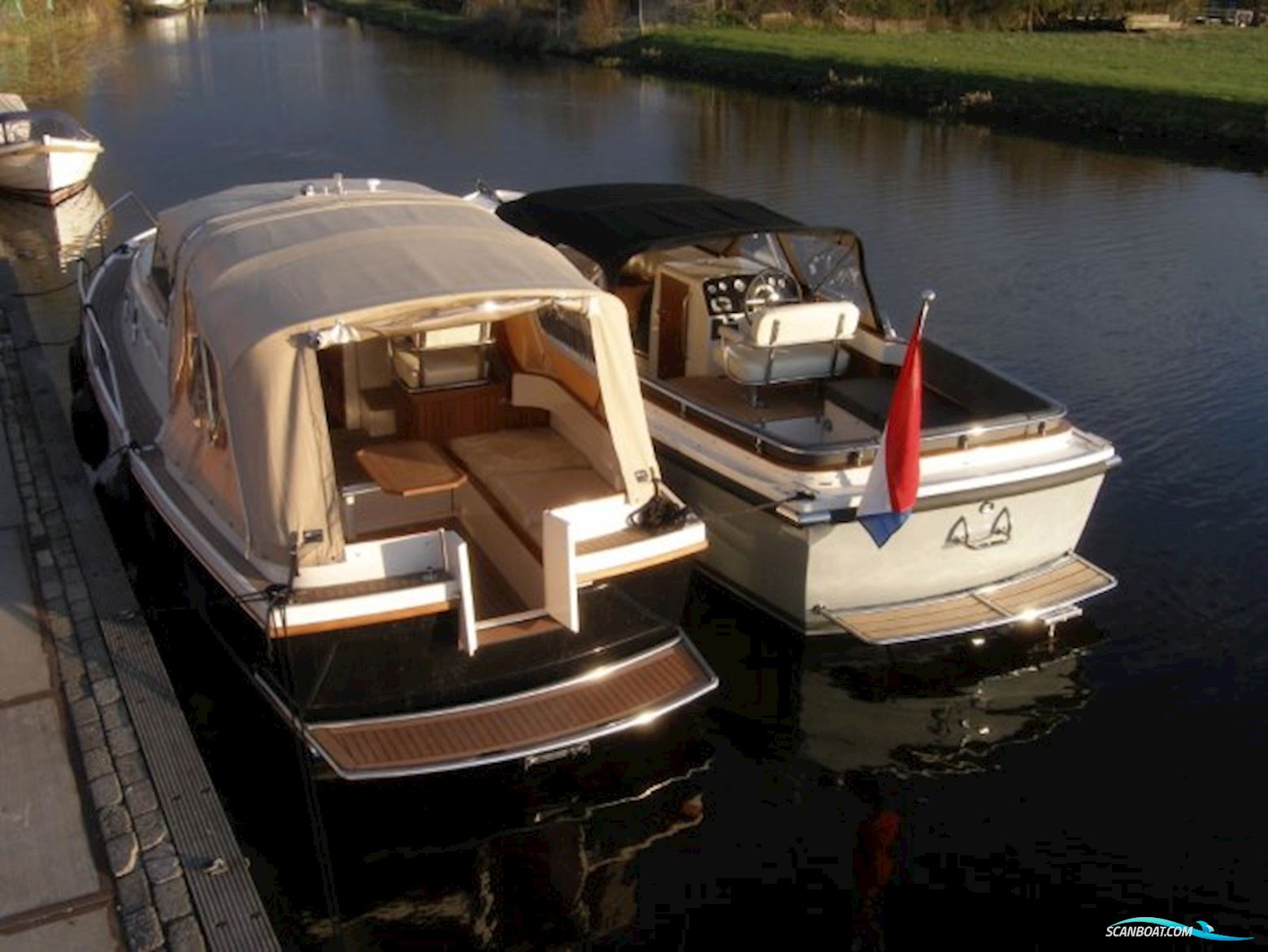 Damarin 842 Cruiser (Nieuw)