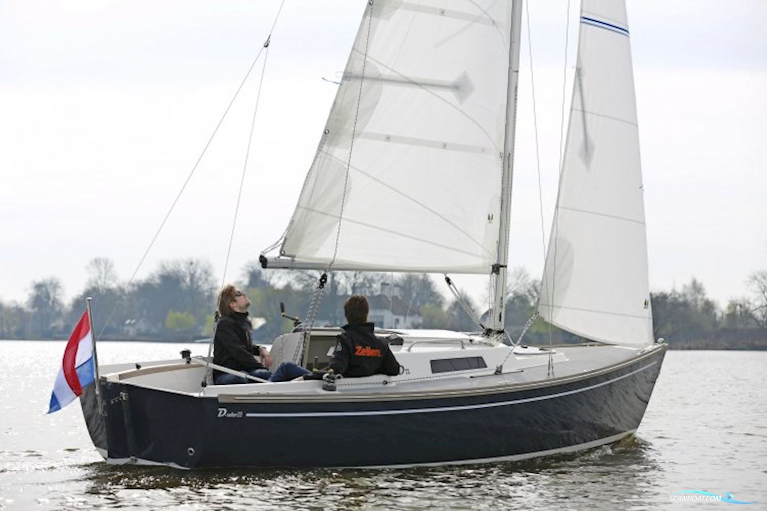 Damarin D23 (nieuw) Sejlbåd 2024, med yanmar motor, Holland