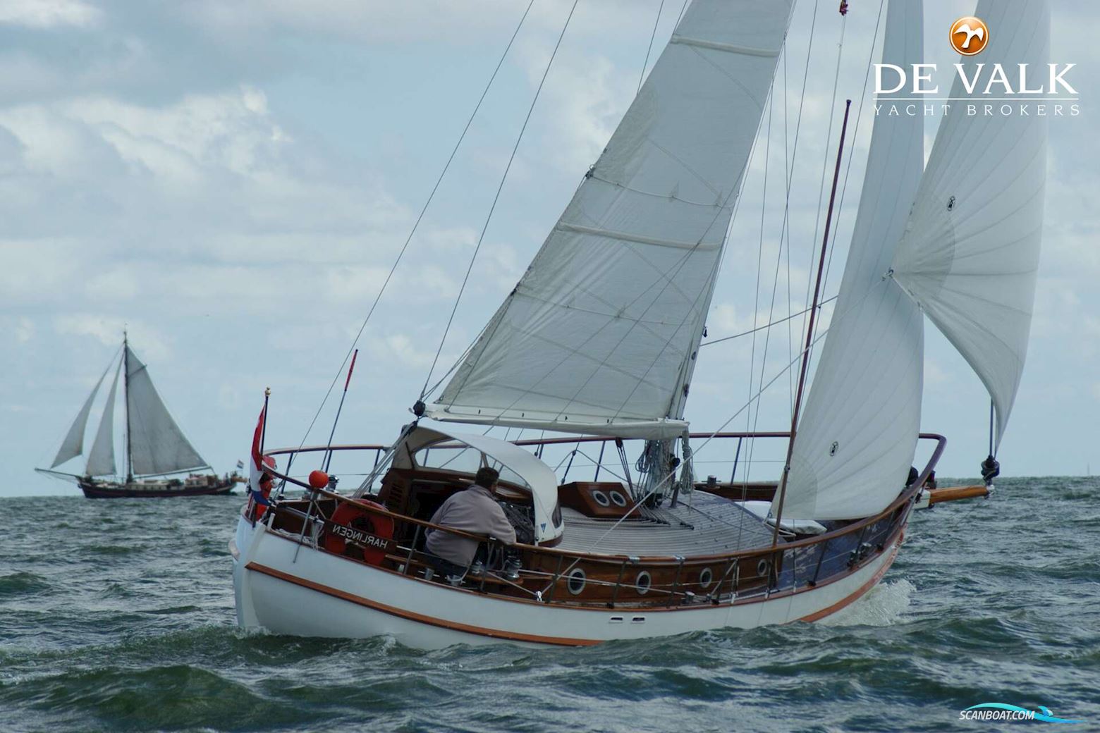 Danish Rose 31