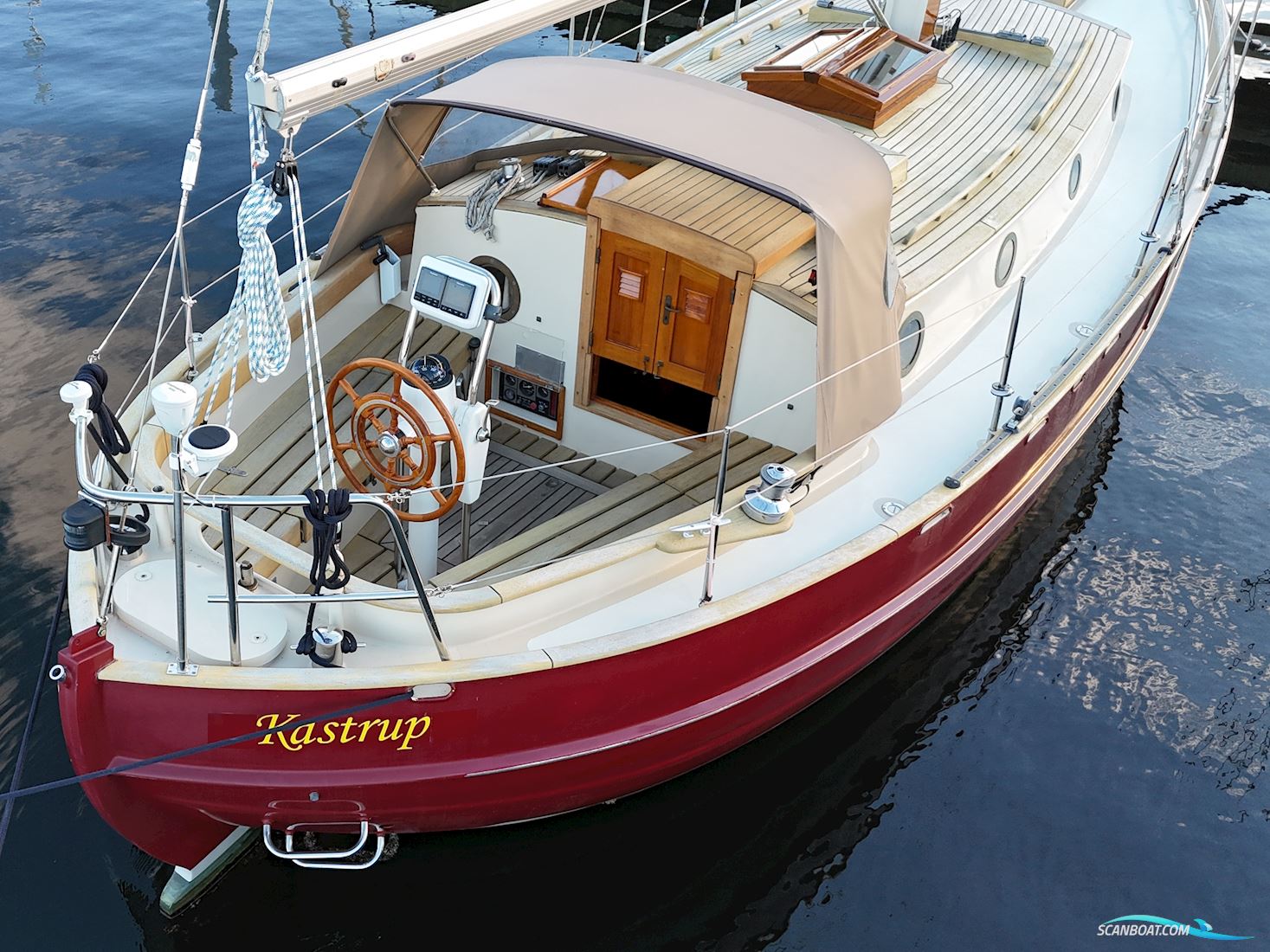 Danish Rose 32