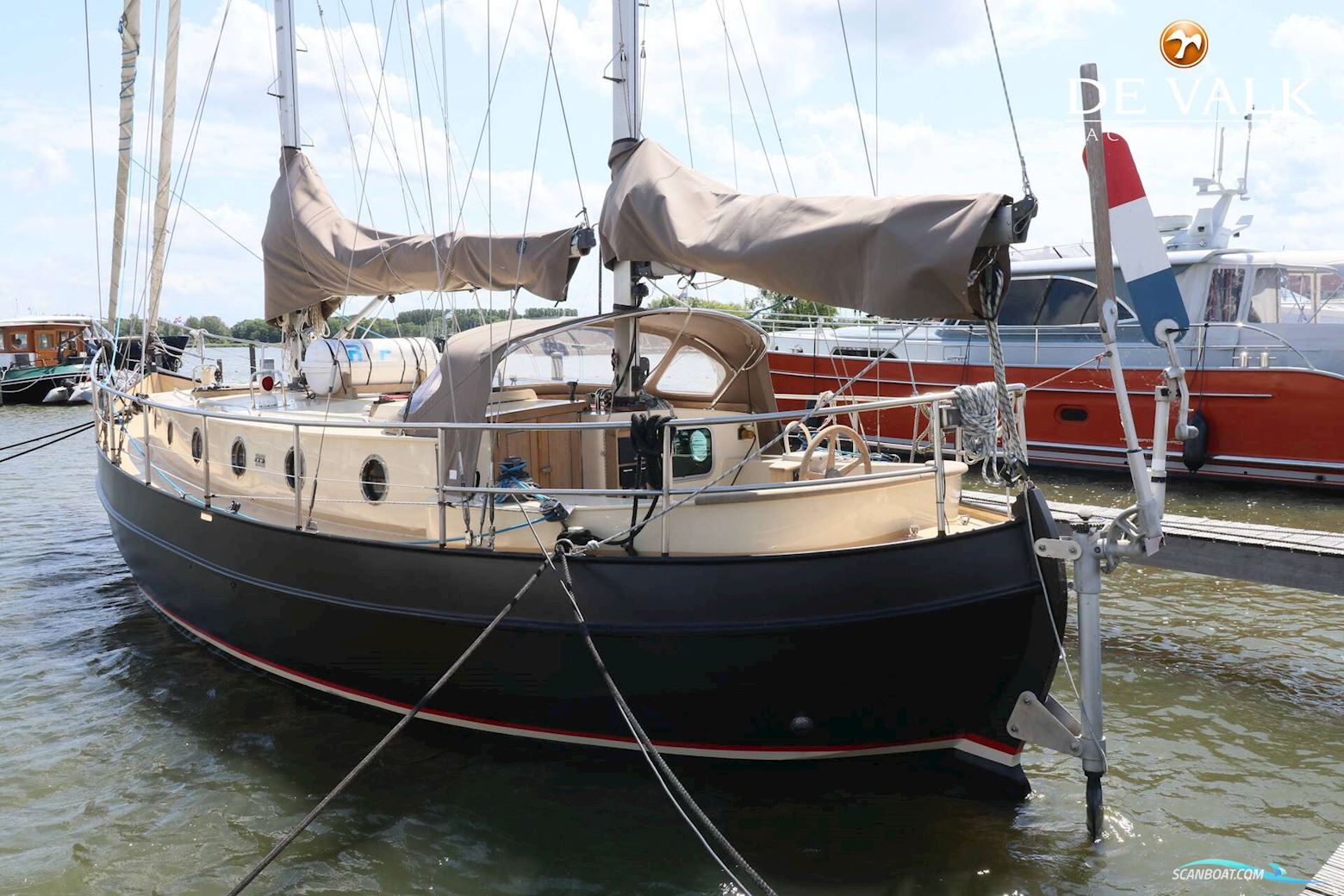 Danish Rose 42