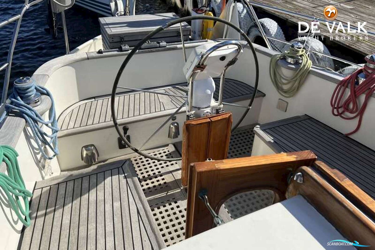 Danish Rose 42