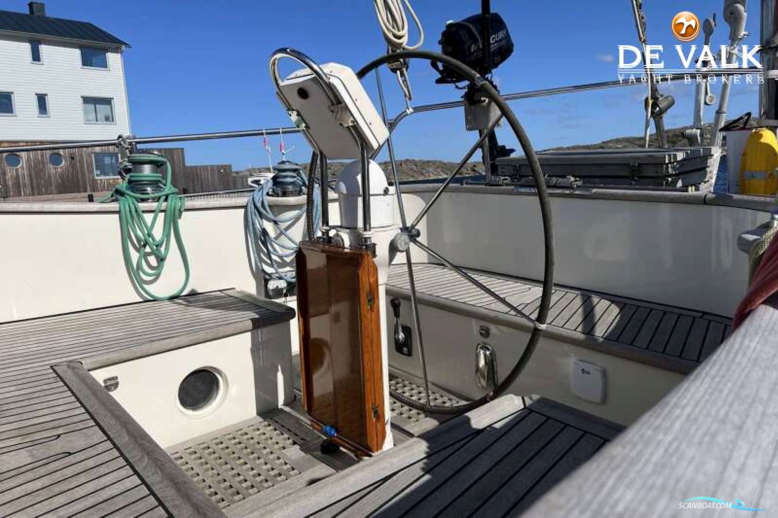 Danish Rose 42