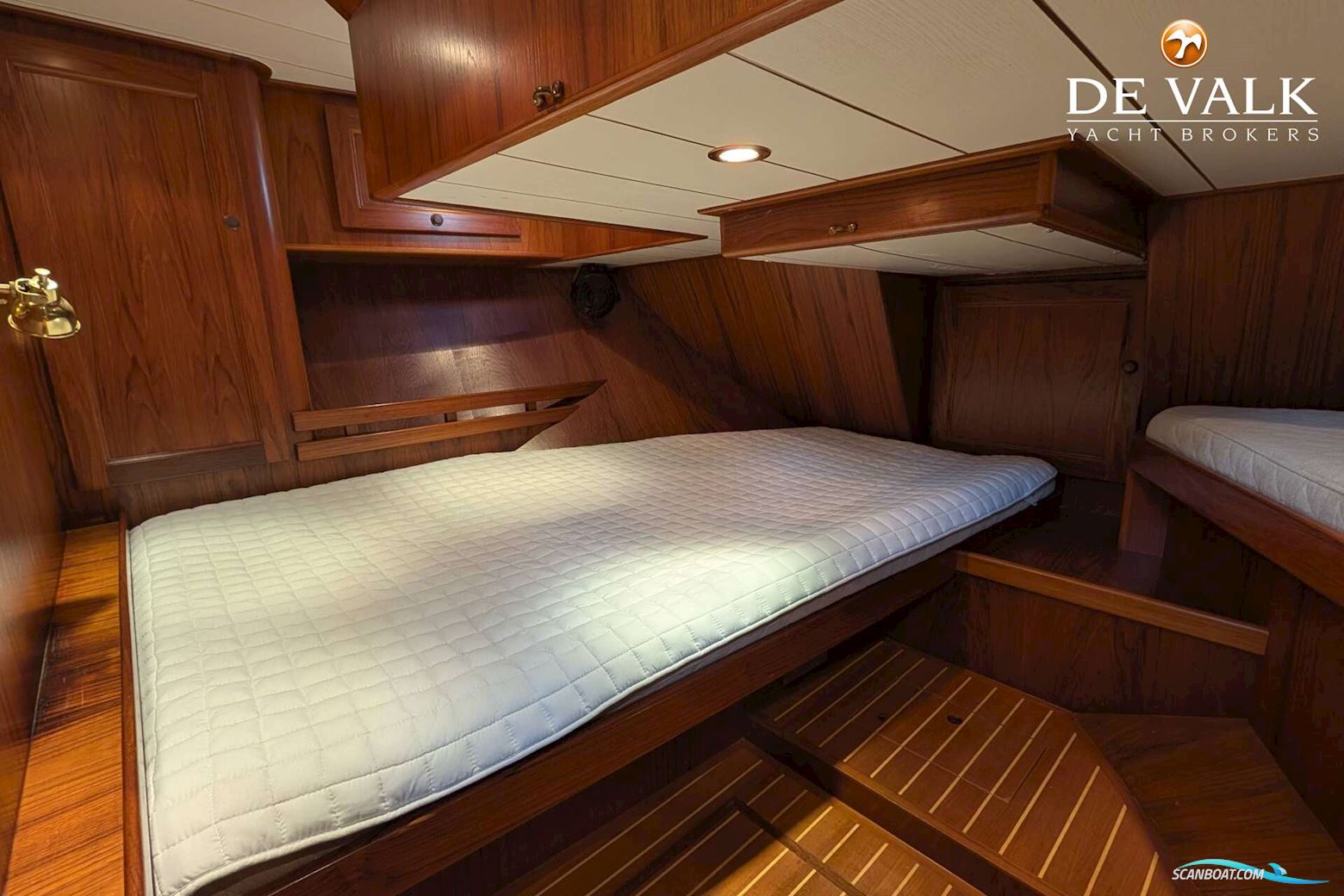 Danish Rose 42