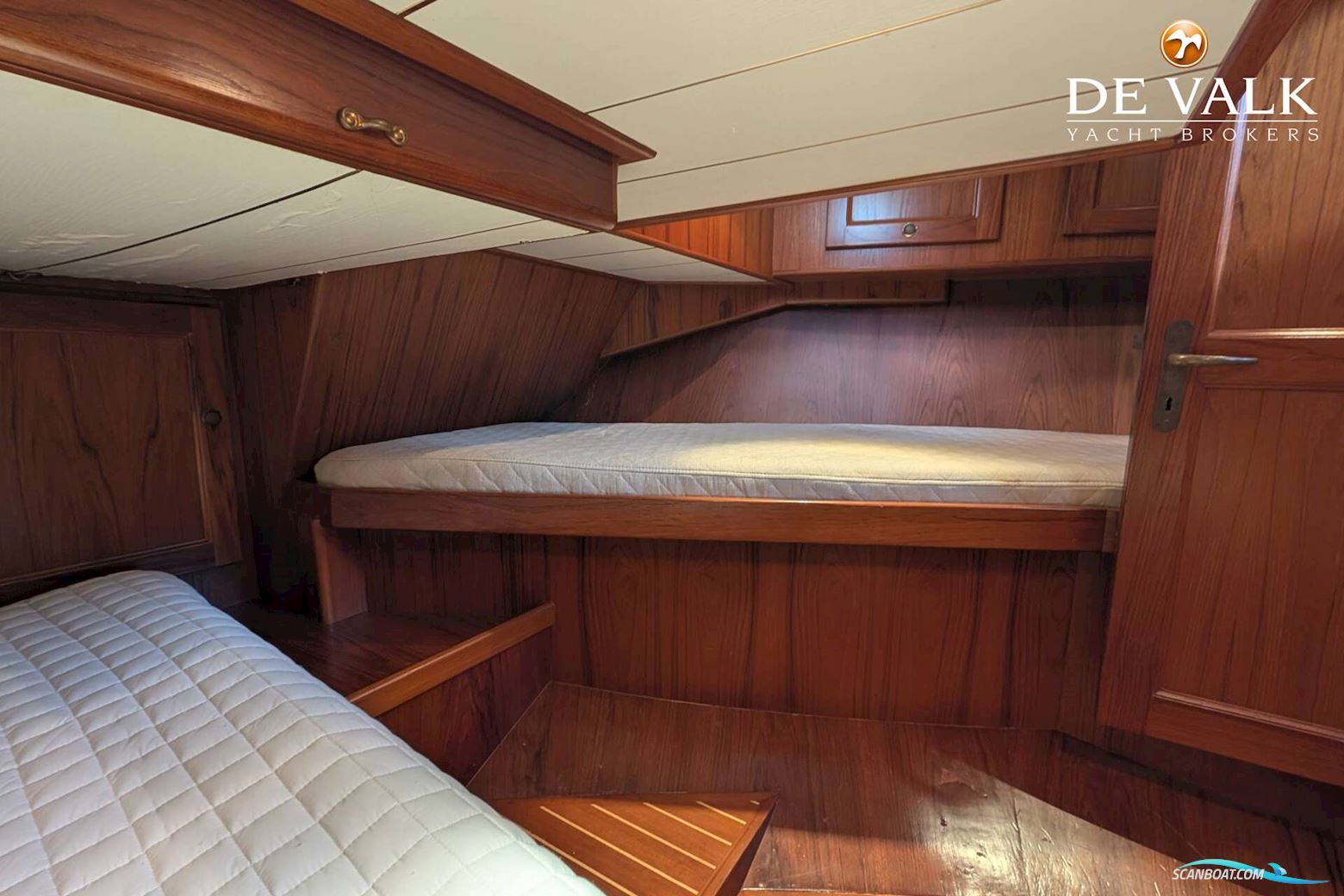 Danish Rose 42