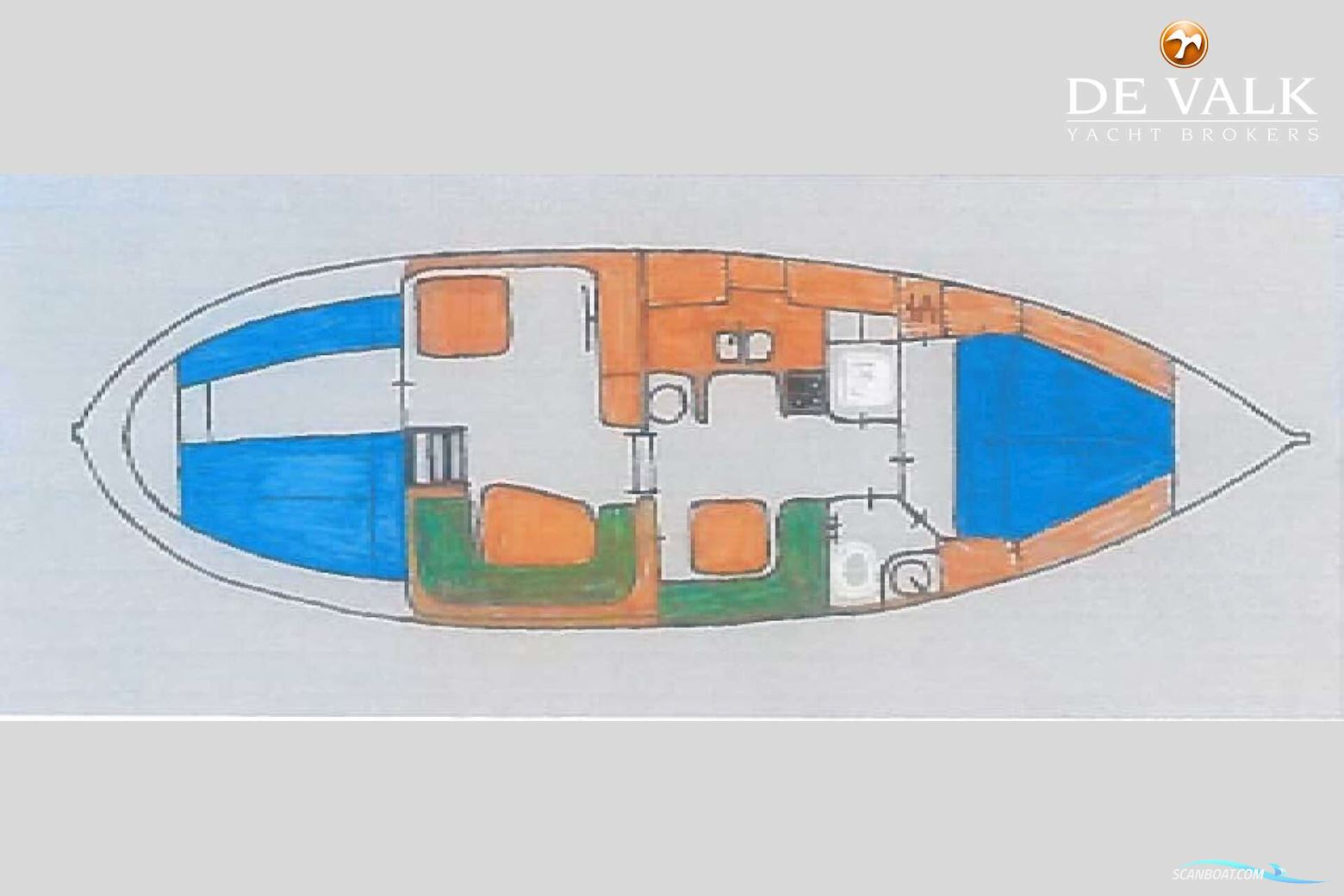 Danish Rose 42