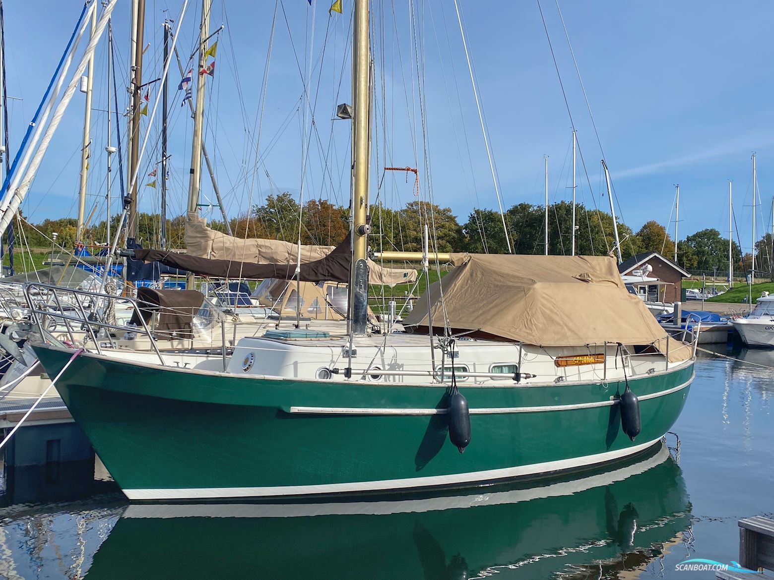 Dartsailer 30