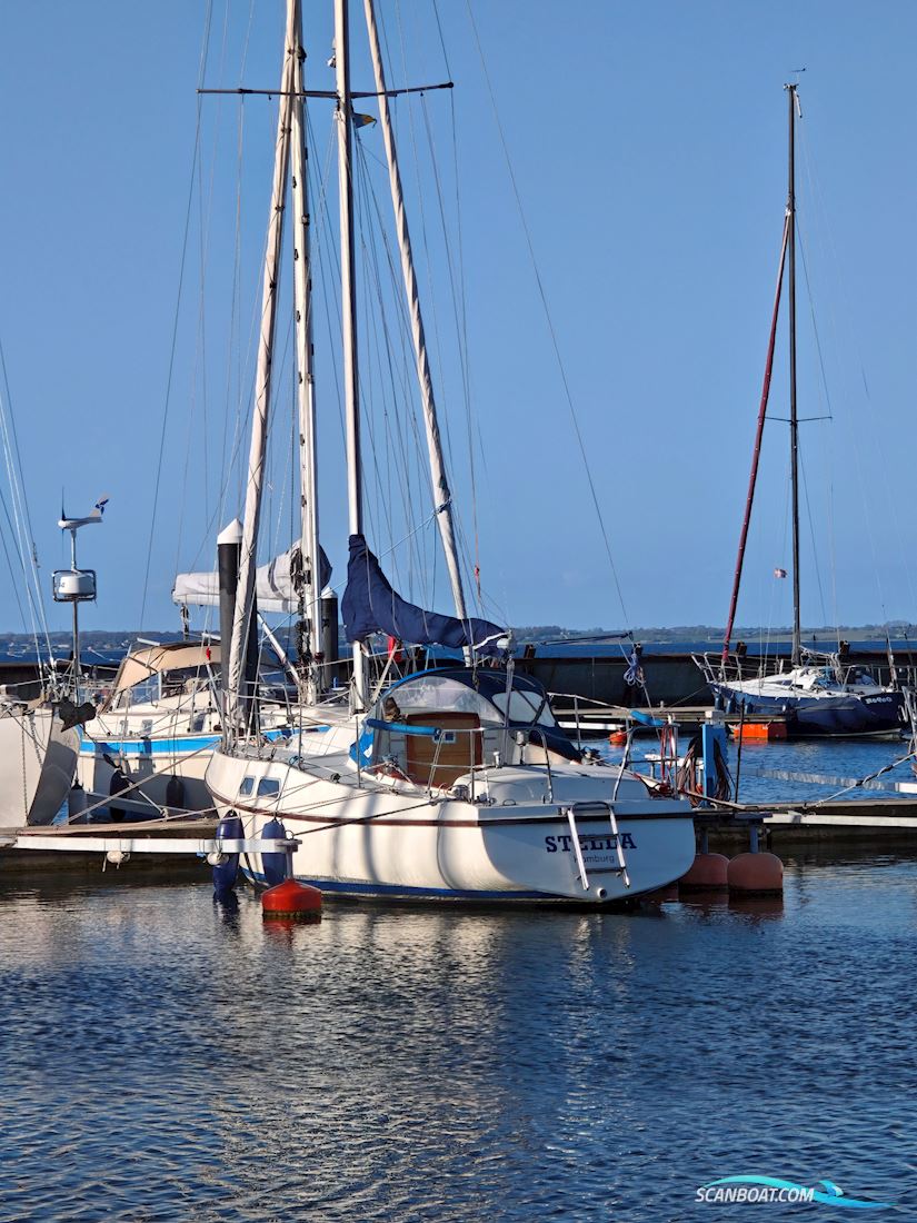 Deerberg Beryll 30