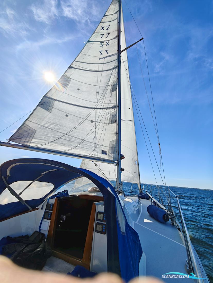 Deerberg Beryll 30